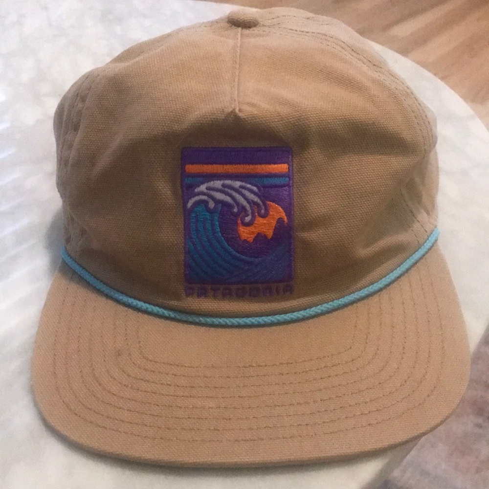 Patagonia Retro Snap Back